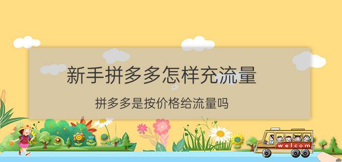 新手拼多多怎样充流量 拼多多是按价格给流量吗？